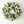 Mixed Silver Dollar Wreath