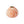 Small Coral Vase