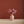 Medium Coral Vase