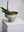 Grace Footed Bowl