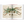 A Garden Eden. Masterpieces of Botanical Illustration.
