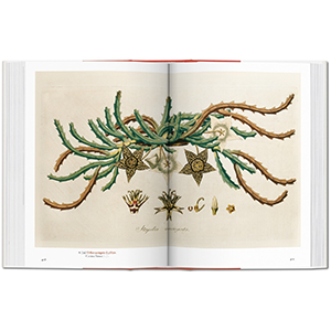 A Garden Eden. Masterpieces of Botanical Illustration.