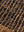 Amber Lewis x Loloi Sycamore  Natural / Brown 4'-8
