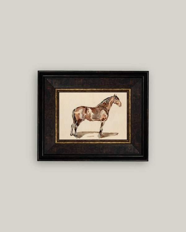 A Bay Horse
