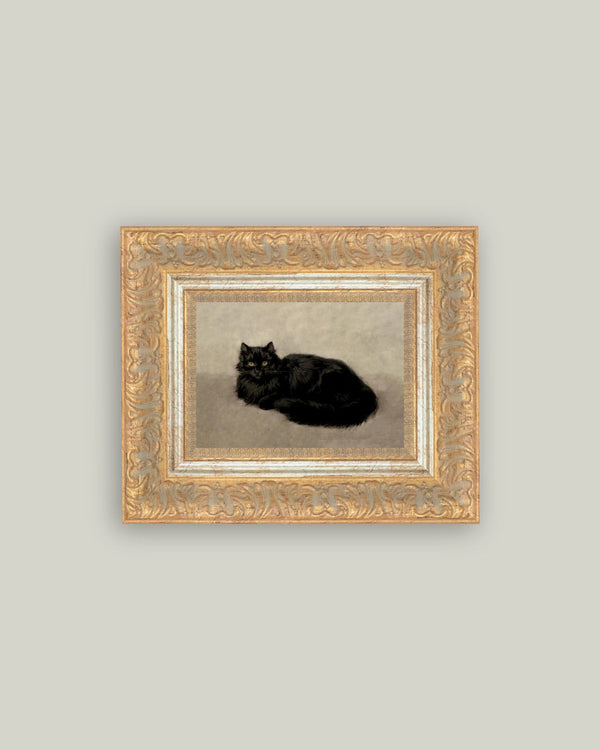 Black Cat