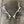 Elk Antler Wall Mount