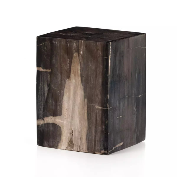 Petrified Wood End Table