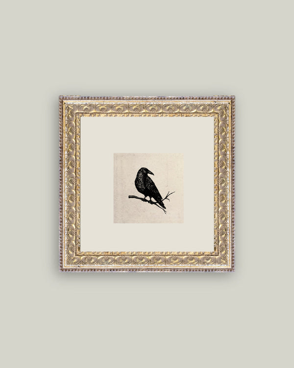 Crow