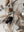 Swedish Bird Set of 2