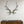 Elk Antler Wall Mount