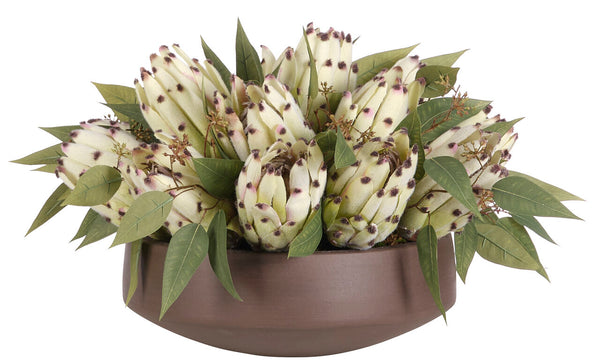 Green/white Protea in Concrete Bowl