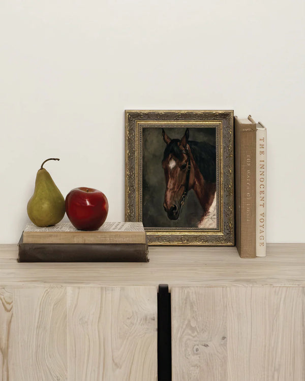 Horse Portrait