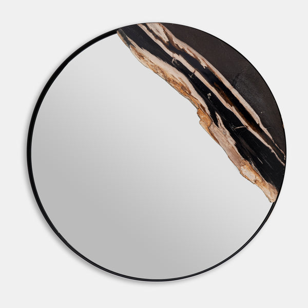 Petrified Wood Mirror