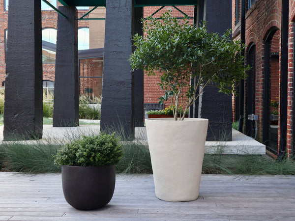 Montreal Planter