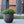 Perugia Planter