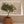 Kopenhagen Planter