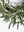 Olive Leaf Wreath 22