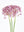 Allium Stems 19
