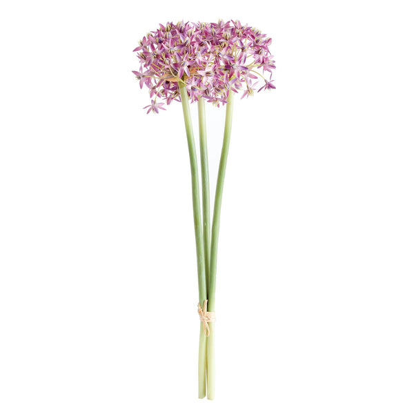 Allium Stems 19" - Bundle of 3