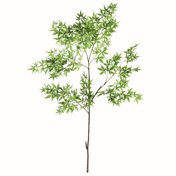 Maple Spray 71"