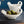 Modern Low Bowl