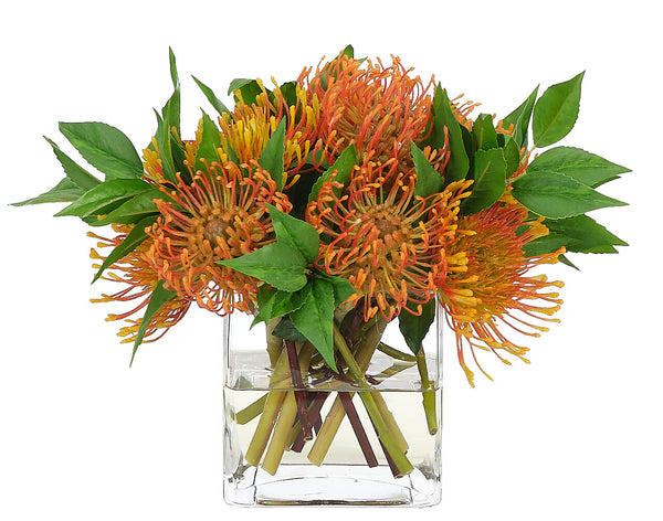 Protea in Glass Cube