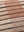 Amber Lewis x Loloi PAL0010 Ivory / Brown 13