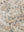 Amber Lewis x Loloi PAL0014 Antique Ivory / Graphite 22