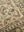 Angela Rose x Loloi Midnight Slate / Sand 13'' x 21'' Cover w/Poly Pillow