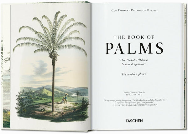 Martius. The Book of Palms