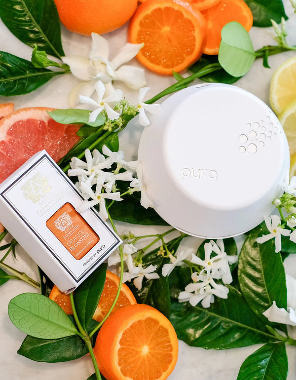 Pura Refill Cartridge / Orange Blossom - The Fragrance: Indulge in the timeless charm of a 