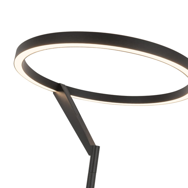 Roan 66" Floor Lamp