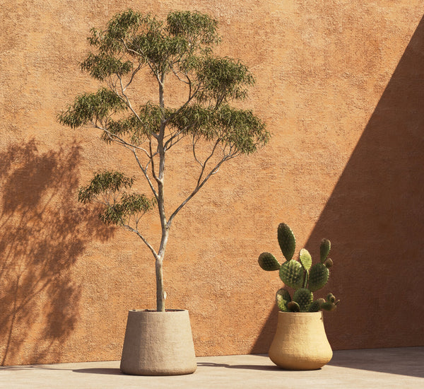 Belle Planter - Large