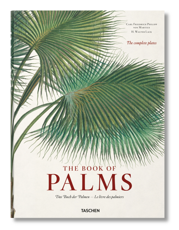 Martius. The Book of Palms