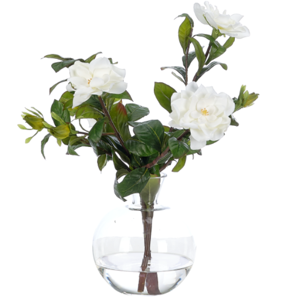 Gardenia, White, Glass Bubble