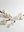 Alabaster Grapes