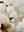 Alabaster Grapes