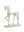 Roman Horse