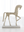 Roman Horse