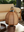 Maltby Exterior Rechargeable Table Lamp