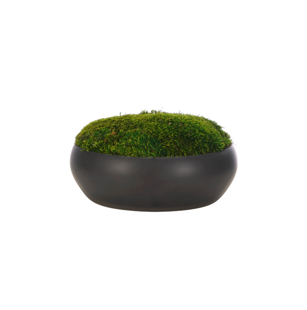 Moss Mound - 5.5"