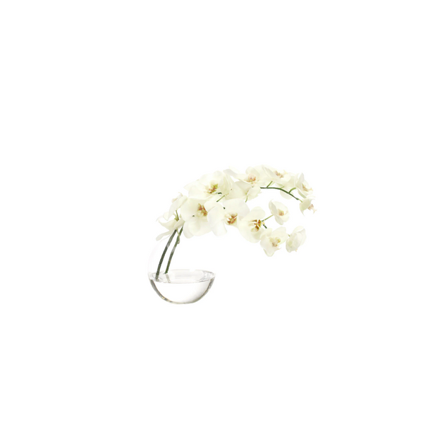 White Orchid Silk Arrangement in Glass Bubble