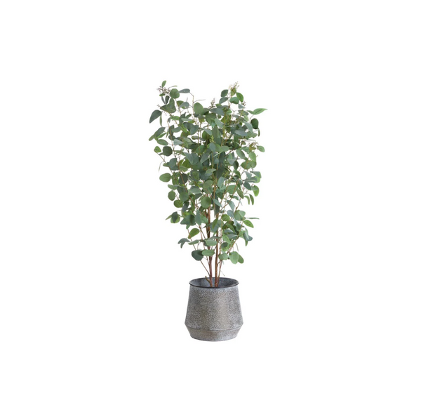 Eucalyptus Tree in Metal Pot Green