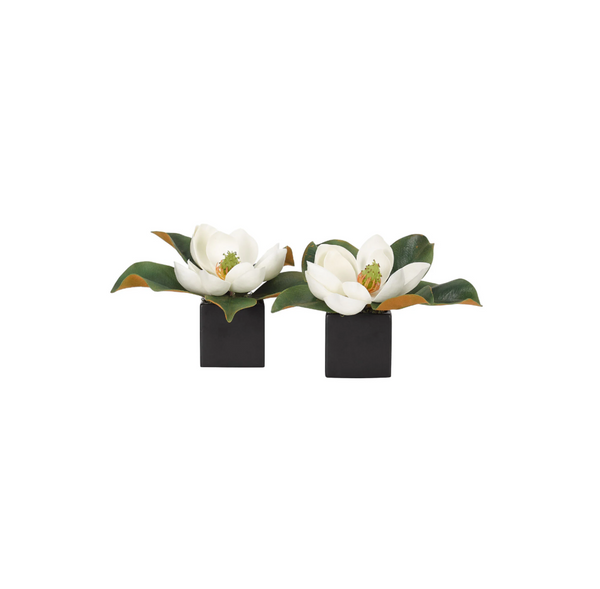 White Magnolia in Ceramic Square