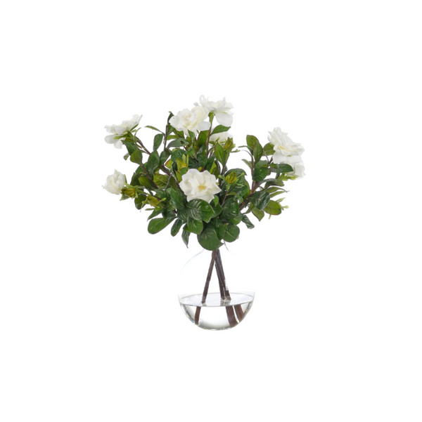 Gardenia in Glass Bubble
