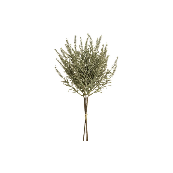 Astilbe Bundle x3 Sage Gray