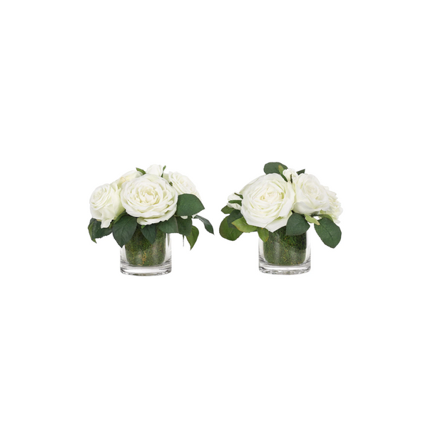 White Rose in Glass Cylinder
