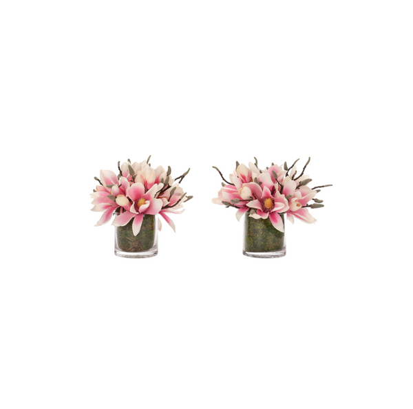 Pink Magnolia in Glass Cylinder