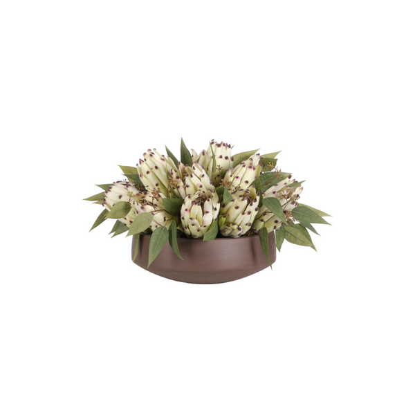Green/white Protea in Concrete Bowl