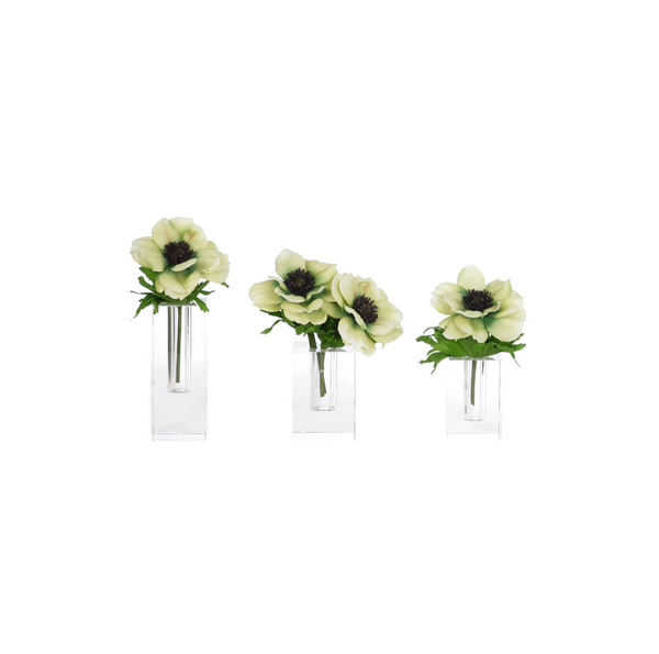 Anemone Drop In Glass vase